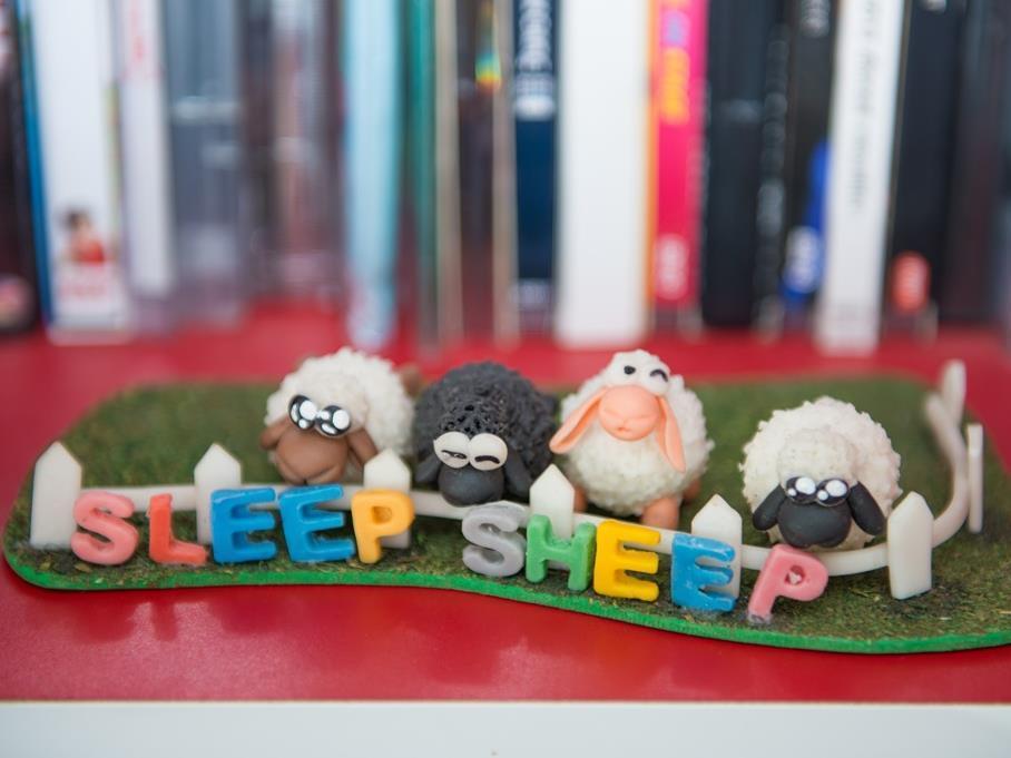 Sleep Sheep Phuket Hostel Sha Eksteriør bilde